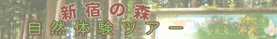 headerimage